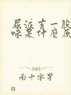 尿液有一股腥臭味是什么原因