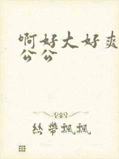 啊好大好爽用力公公