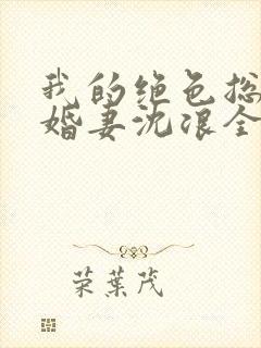 我的绝色总裁未婚妻沈浪全本封面