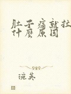 肚子痛就拉大便什么原因