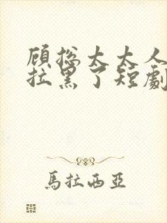 顾总太太人把你拉黑了短剧封面