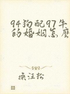 94狗配97牛的婚姻怎么样封面