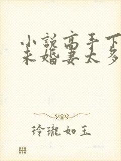 小说高手下山,未婚妻太多,我要全球选妃