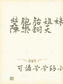 双胞胎姐妹齐上阵乐翻天