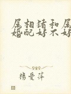 属相猪和属相狗婚配好不好