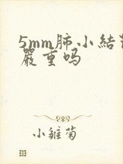 5mm肺小结节严重吗