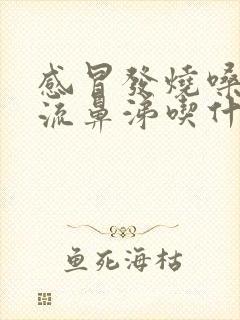 感冒发烧嗓子疼流鼻涕吃什么药