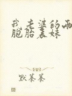 我老婆的两个双胞胎表妹