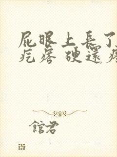 屁眼上长了一个疙瘩 硬还疼封面