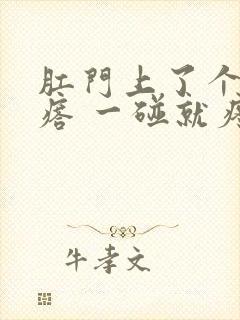 肛门上了个硬疙瘩 一碰就疼