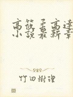 高筱柔高达催眠小说最新章节阅读下封面