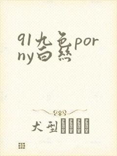 91九色porny白丝