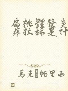 扁桃体发炎肚子疼拉稀是什么原因