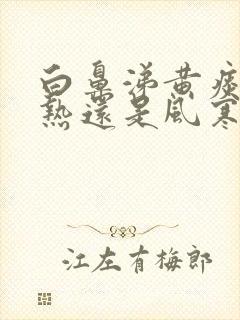 白鼻涕黄痰是风热还是风寒