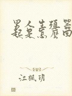 男人生殖器勃不起是怎么回事