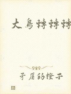 大鸟转转转封面