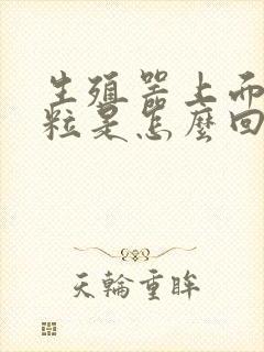 生殖器上面长肉粒是怎么回事