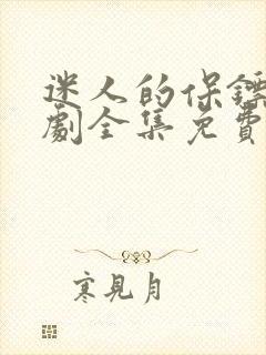 迷人的保镖电视剧全集免费观看