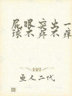 屁眼突出一个肉球不疼不痒