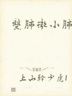 双肺微小肺结节