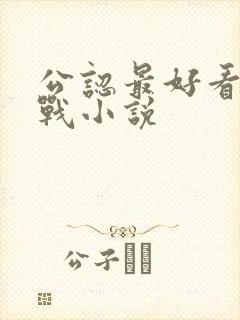 公认最好看的谍战小说