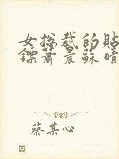 女总裁的贴身保镖萧晨苏晴