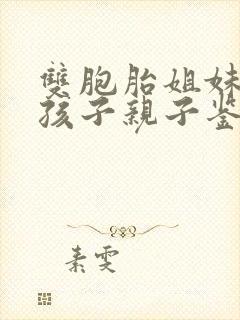 双胞胎姐妹生的孩子亲子鉴定