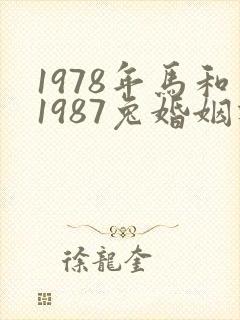 1978年马和1987兔婚姻相配吗