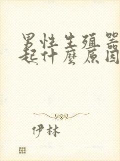 男性生殖器硬不起什么原因