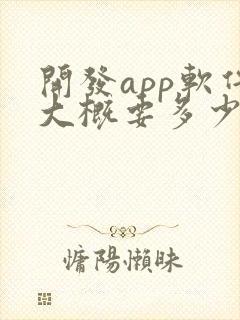 开发app软件大概要多少钱