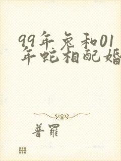 99年兔和01年蛇相配婚姻如何