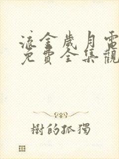 流金岁月电视剧免费全集观看高清封面