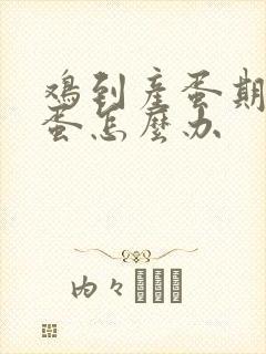 鸡到产蛋期不下蛋怎么办封面