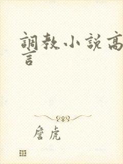 调教小说高h古言封面