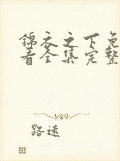 锦衣之下免费观看全集完整版在线观看