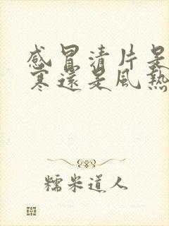 感冒清片是治风寒还是风热感冒封面