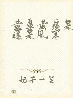 黄鼻黄痰是风热还是风寒