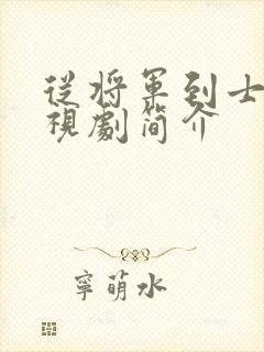 从将军到士兵电视剧简介