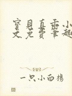 宝贝真乖小说全文免费笔趣阁