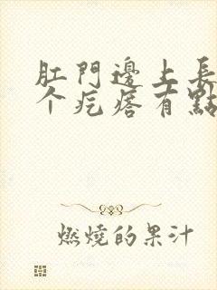 肛门边上长了一个疙瘩有点疼