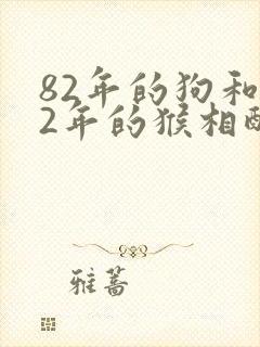 82年的狗和92年的猴相配怎么样