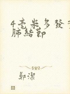 4毫米多发实性肺结节