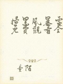 扫黑风暴电视剧免费观看全集完整版