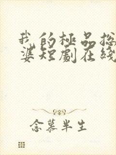 我的极品总裁老婆短剧在线观看封面