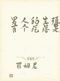 男人的生殖器上有个疙瘩是怎么回事封面