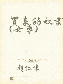 买来的奴隶夫郎(女尊)