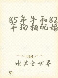 85年牛和82年狗相配婚姻如何