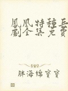 凤凰特种兵电视剧全集免费观看