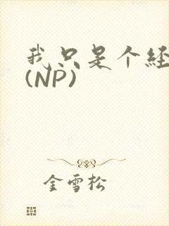 我只是个经纪人(NP)