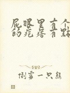 屁眼里有个硬硬的疙瘩有点疼